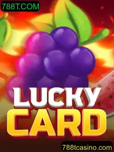 Entenda o Fascinante Mundo de LuckyCard